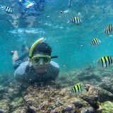 pantai yang biasa untuk snorkel di jogja