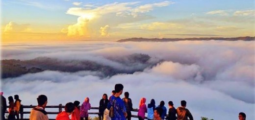 kebun buah mangunan imogiri bantul jogja