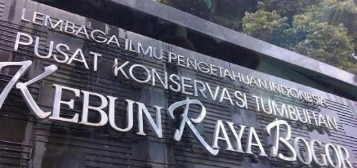 jam buka kebun raya bogor