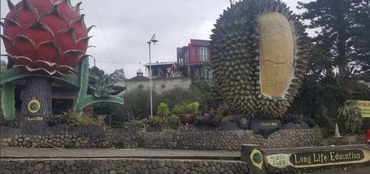 warso farm durian bogor