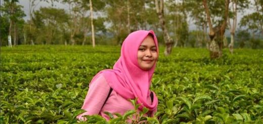 kebun teh wonosari malang