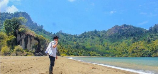 harga tiket masuk pantai sipelot malang
