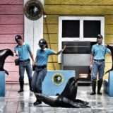 harga tiket taman safari bogor